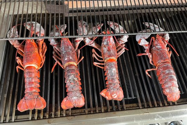 WhatsApp Image 2024-06-09 at 11.36.02 AM